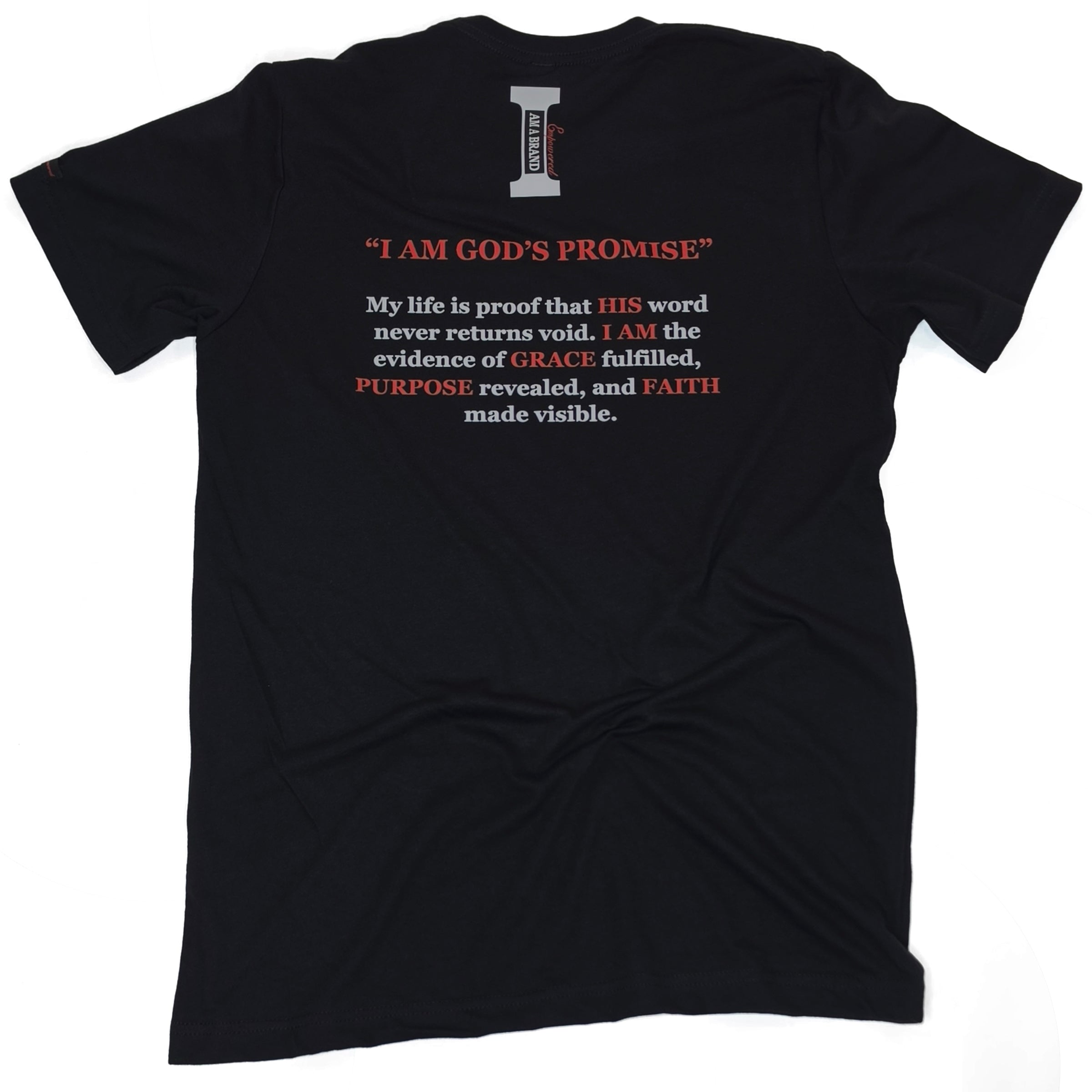 I AM GOD'S PROMISE™ | Grace & Fulfillment Tee